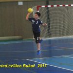 Jihočeské házenkářské naděje se dnes utkaly v Milevsku