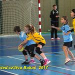 Jihočeské házenkářské naděje se dnes utkaly v Milevsku