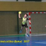 Jihočeské házenkářské naděje se dnes utkaly v Milevsku