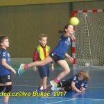 Jihočeské házenkářské naděje se dnes utkaly v Milevsku