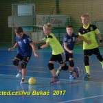 Jihočeské házenkářské naděje se dnes utkaly v Milevsku