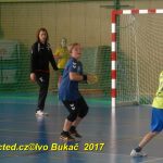 Jihočeské házenkářské naděje se dnes utkaly v Milevsku