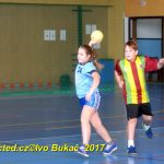 Jihočeské házenkářské naděje se dnes utkaly v Milevsku