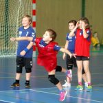 Jihočeské házenkářské naděje se dnes utkaly v Milevsku