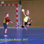 Jihočeské házenkářské naděje se dnes utkaly v Milevsku