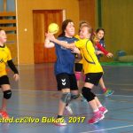 Jihočeské házenkářské naděje se dnes utkaly v Milevsku