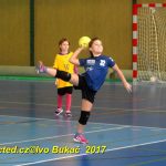 Jihočeské házenkářské naděje se dnes utkaly v Milevsku
