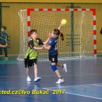 Jihočeské házenkářské naděje se dnes utkaly v Milevsku