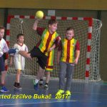 Jihočeské házenkářské naděje se dnes utkaly v Milevsku