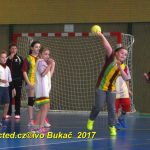 Jihočeské házenkářské naděje se dnes utkaly v Milevsku
