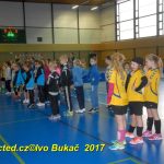 Jihočeské házenkářské naděje se dnes utkaly v Milevsku