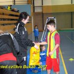 Jihočeské házenkářské naděje se dnes utkaly v Milevsku