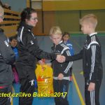 Jihočeské házenkářské naděje se dnes utkaly v Milevsku