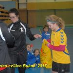 Jihočeské házenkářské naděje se dnes utkaly v Milevsku
