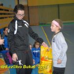 Jihočeské házenkářské naděje se dnes utkaly v Milevsku