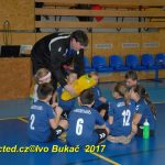 Jihočeské házenkářské naděje se dnes utkaly v Milevsku