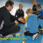Jihočeské házenkářské naděje se dnes utkaly v Milevsku