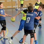 Jihočeské házenkářské naděje se dnes utkaly v Milevsku