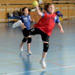 Jihočeské házenkářské naděje se dnes utkaly v Milevsku