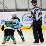 Milevští čtvrťáci zvládli přechod na velké kluziště výborně