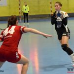 Házenkářky Písku podle předpokladů v Českém poháru končí