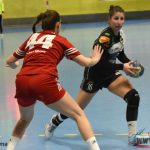 Házenkářky Písku podle předpokladů v Českém poháru končí