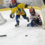 Hokej: Teplárna cup druháků v Táboře vyhrál Písek