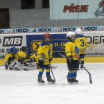 Hokej: Teplárna cup druháků v Táboře vyhrál Písek