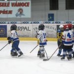 Hokej: Teplárna cup druháků v Táboře vyhrál Písek