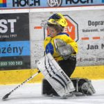 Hokej: Teplárna cup druháků v Táboře vyhrál Písek