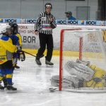 Hokej: Teplárna cup druháků v Táboře vyhrál Písek