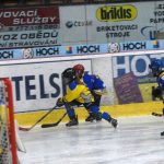 Hokej: Teplárna cup druháků v Táboře vyhrál Písek