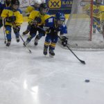Hokej: Teplárna cup druháků v Táboře vyhrál Písek