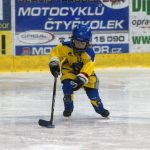 Hokej: Teplárna cup druháků v Táboře vyhrál Písek