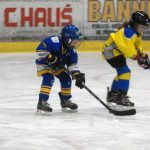 Hokej: Teplárna cup druháků v Táboře vyhrál Písek