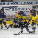 Hokej: Teplárna cup druháků v Táboře vyhrál Písek