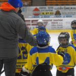 Hokej: Teplárna cup druháků v Táboře vyhrál Písek