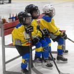 Hokej: Teplárna cup druháků v Táboře vyhrál Písek