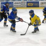 Hokej: Teplárna cup druháků v Táboře vyhrál Písek