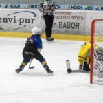 Hokej: Teplárna cup druháků v Táboře vyhrál Písek