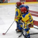 Hokej: Teplárna cup druháků v Táboře vyhrál Písek
