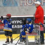 Hokej: Teplárna cup druháků v Táboře vyhrál Písek