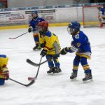 Hokej: Teplárna cup druháků v Táboře vyhrál Písek