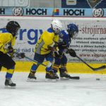 Hokej: Teplárna cup druháků v Táboře vyhrál Písek