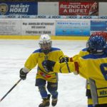 Hokej: Teplárna cup druháků v Táboře vyhrál Písek
