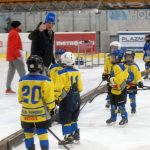 Hokej: Teplárna cup druháků v Táboře vyhrál Písek