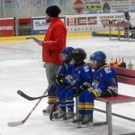 Hokej: Teplárna cup druháků v Táboře vyhrál Písek
