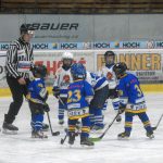 Hokej: Teplárna cup druháků v Táboře vyhrál Písek