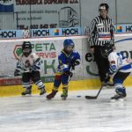 Hokej: Teplárna cup druháků v Táboře vyhrál Písek