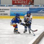 Hokej: Teplárna cup druháků v Táboře vyhrál Písek